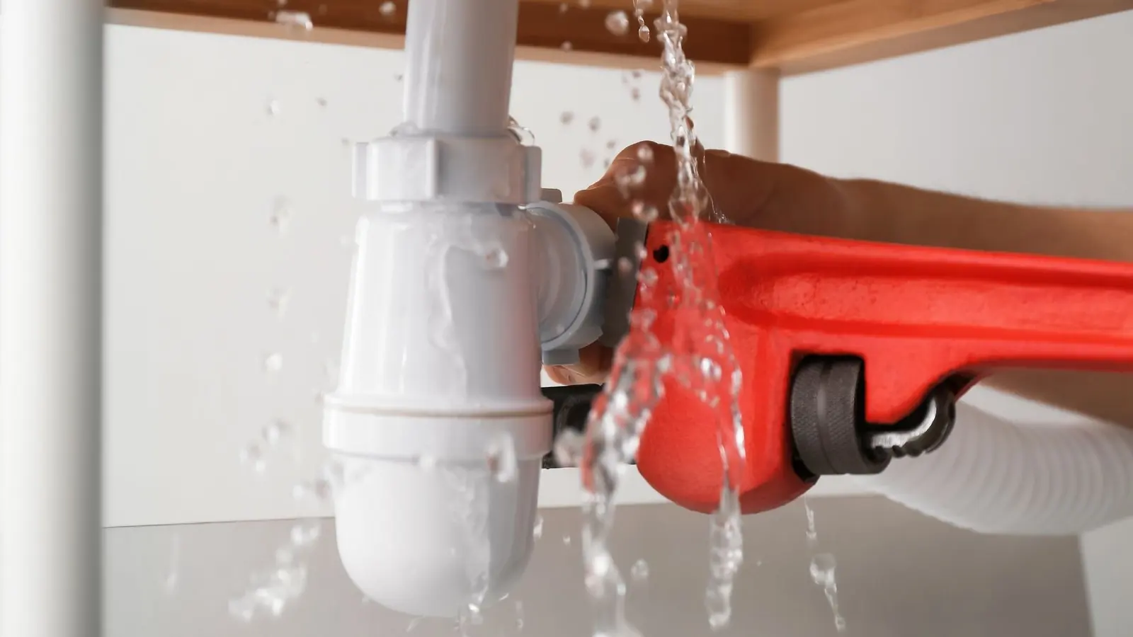Drain camera inspection and sewer diagnostics